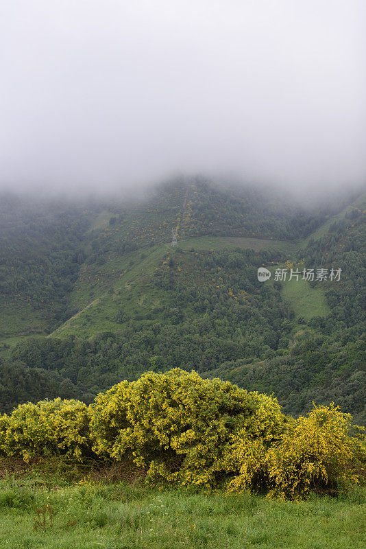 位于西班牙La Faba和O Cebreiro之间的卡米诺德圣地亚哥的景观